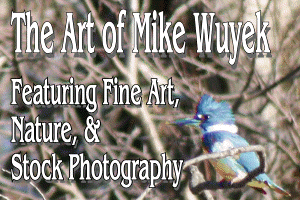The Art of Mike Wuyek